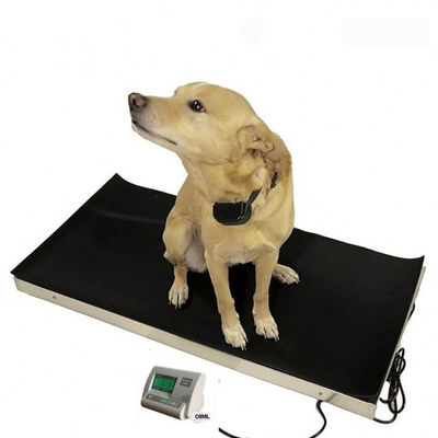 High Precision Animal Digital Weight Scale